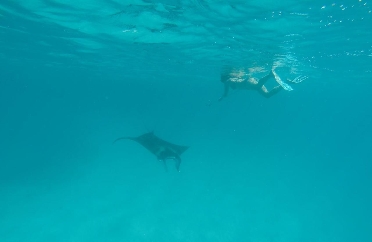セヴィネックス イン Feridhoo エクステリア 写真