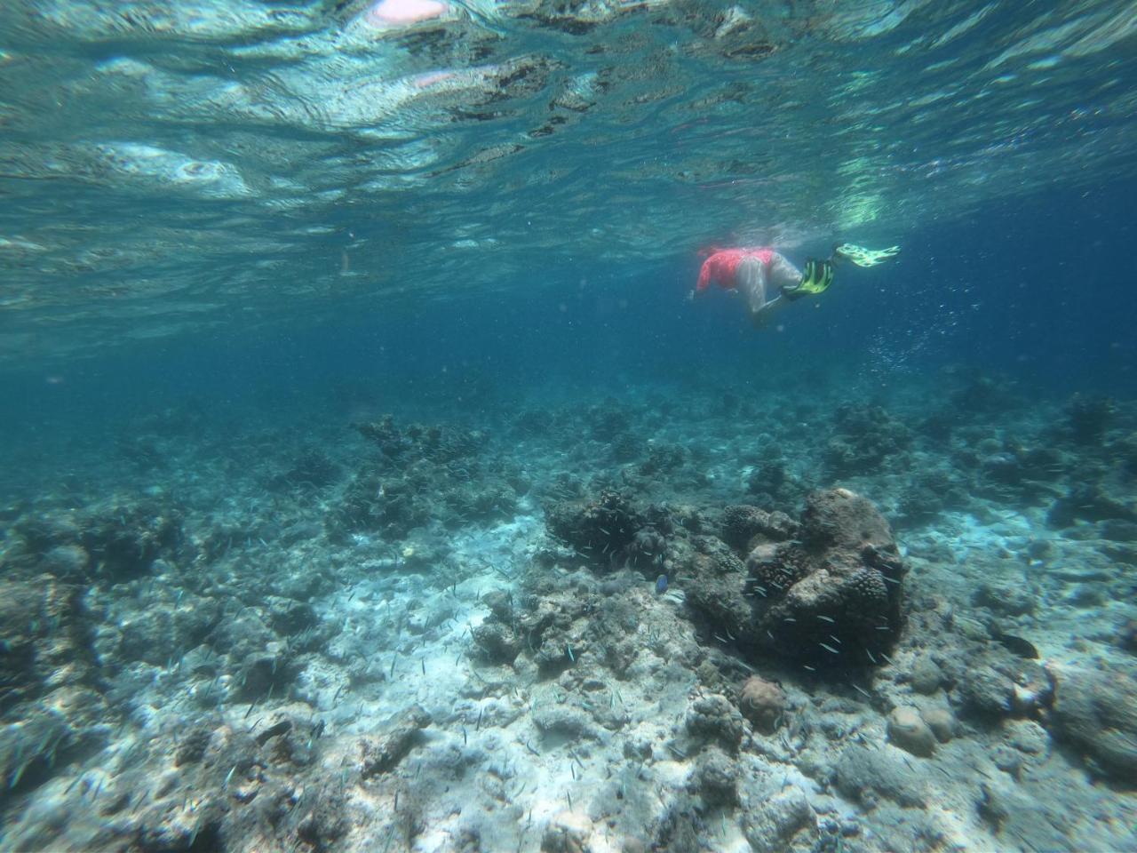 セヴィネックス イン Feridhoo エクステリア 写真